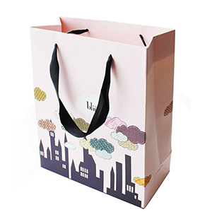 Paper Bags